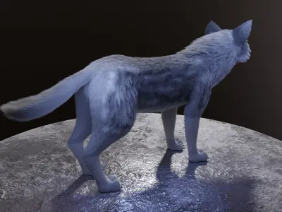 Ranky Wolf  3D model
