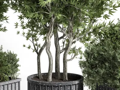 Collection Outdoor plant in concrete pot 16 Low-poly 3D model