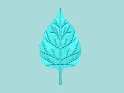 Sunflower Leaf 01 - Silicone Mold Maker - Template 3D print model