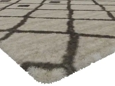 Rug Set 564 3D model