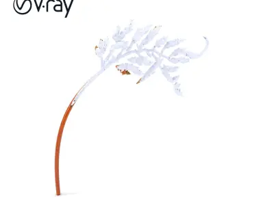 Fern Leaf Model Pack for D Environment Low-poly 3D model