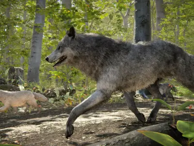 Wolf Realistic 3D model