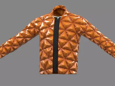 bump jacket  Low-poly 3D model