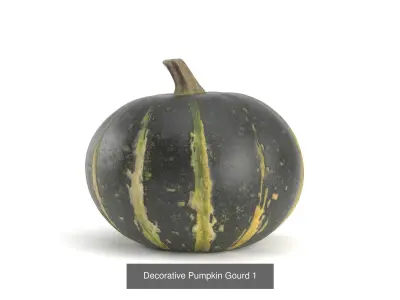 3D Pumpkin models  3D Model Collection