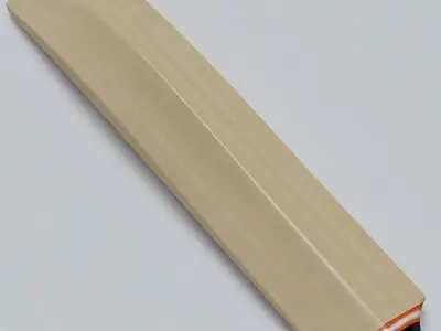 Cricket Bat and Ball 3D model