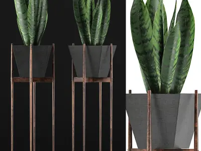 Plants Collection 99 3D model