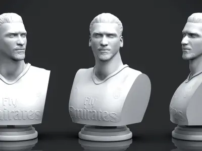 Ibrahimovic 3D Printable 3D print model