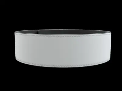 Lever belt or Lifting belt 3D model