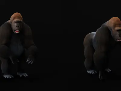 Western Lowland Gorilla Low-poly 3D model