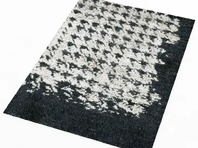 Baxter SCARLET PIED DE POULE CARPET 3D model