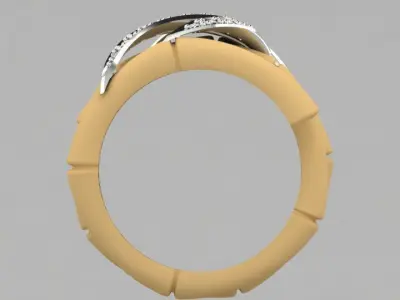 CyC ring 3D print model