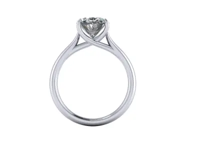 Wedding Ring Variation V5 3D print model