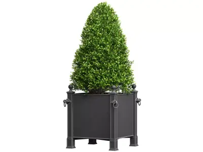 Modern Boxwood in the garden planter RH ArtDeco 3D model