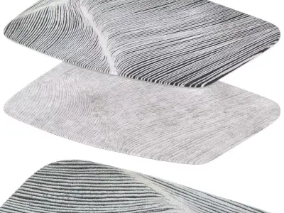 Atelier Tortil Reef rug 3D model