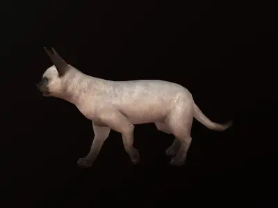 animated siamese cat Low-poly 3D model