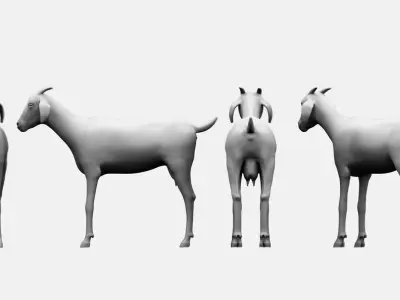 goat 3d model 3D model buy