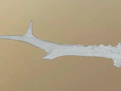 Wild and used deer antler Low-poly 3D model