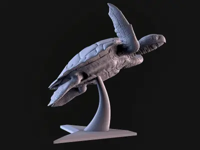 Turtle sculpture of 3D print model