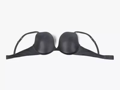 -Bra- 3D model