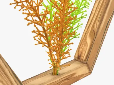 Frame with decorative artificial flower 3D model