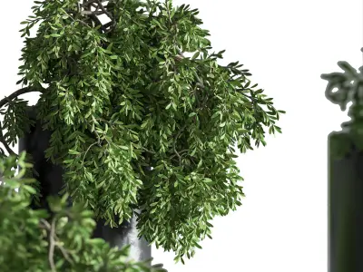 IndoorPlantsHangingPotMetalVase01 five pendant lights hanging... 3D model