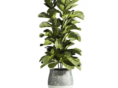 Plants  3D model purchase