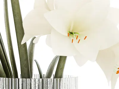 Set Of Bouquets Of White Flowers Hippeastrum Vase 372 3D model