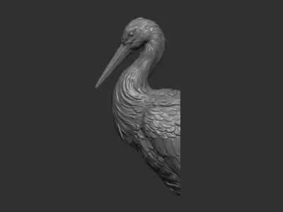 Stork bust 3D print model