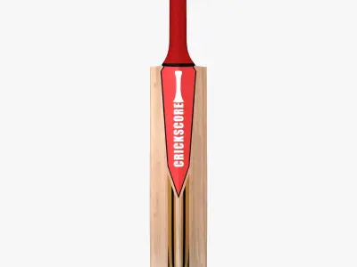 Cricket Bat Low-poly 3D model