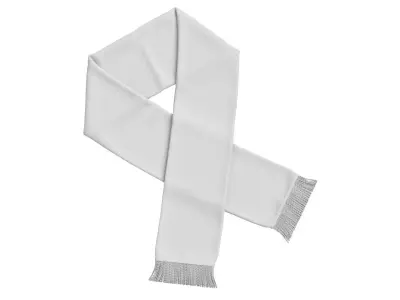 Football Fan Scarf 08 3D model