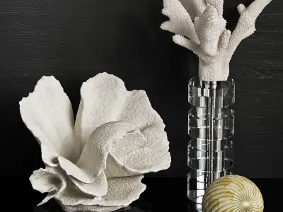 Coral Decor Set 3D model