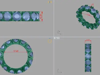 RING PRINT 3D 3D print model