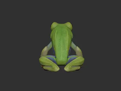Red Tree Frog Sculpt  Low-poly 3D model