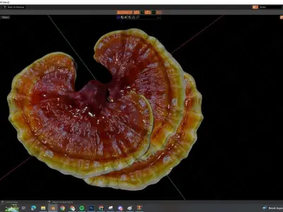 reishi mushroom for 3d print webgl and game AR VR Low-poly 3D model