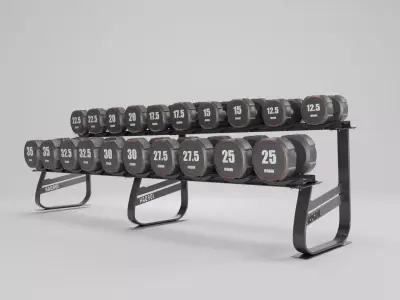 Fitness Dumbbell Rack 3D model