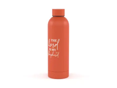 Water Bottle 3D model get