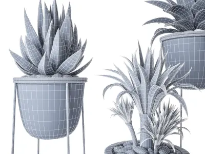 Plant Set 3 three potted plants 3D model