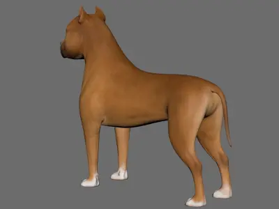 Dog  American Staffordshire Terrier Low-poly 3D model