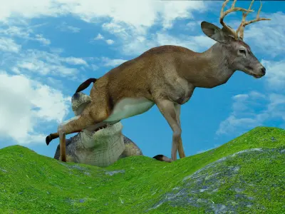 Alligator Attack 4K 3D model