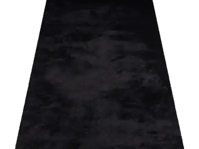 Rug Set 1064 3D model