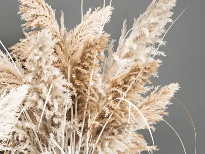 Decorative Bouquet of dried pampas grass 193 3D model