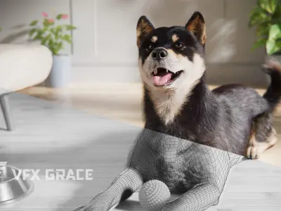 Four-Eyed Dog Animated VFX Grace 3D model