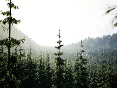 YarovoiTreesPack pine forest in mountains Low-poly 3D model