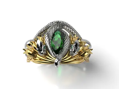 Fan Ring LOTR 3D print model