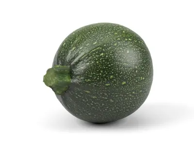 Photorealistic Round Zucchini 3D Scan 3D model