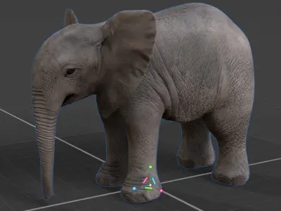 baby Elephant  3D model