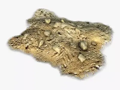 DIrt pile with rocks 3D model