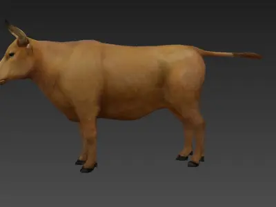 animal cow  Low-poly 3D model