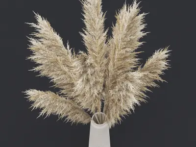 Pampas Grass II 3D model