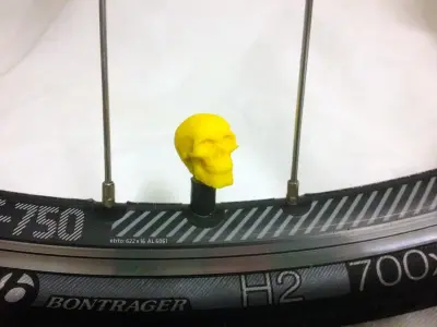 Car Truck Bike Van Tire Tyre Wheel Valve Stem Caps Cover Skull 3D print model
